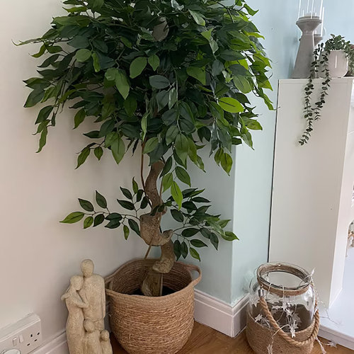 Leaf Japanese Fruticosa 120cm Faux Ficus Tree in Pot Liner & Reviews
